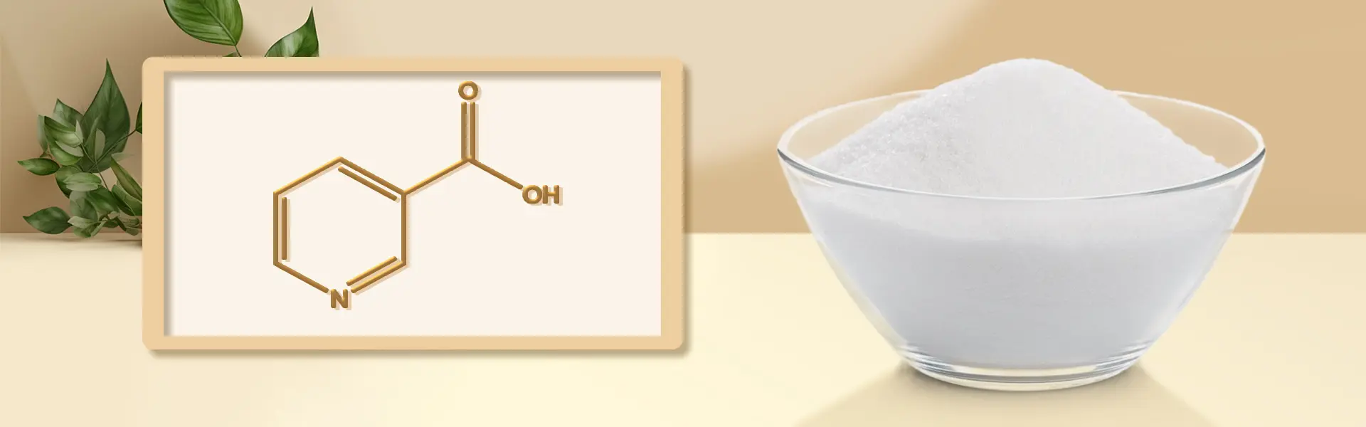 Niacinamide powder