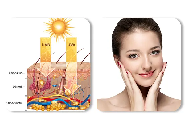 Why choose edible bird's nest peptide?