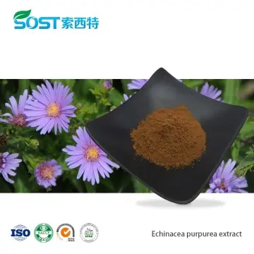Echinacea Purpurea Extract