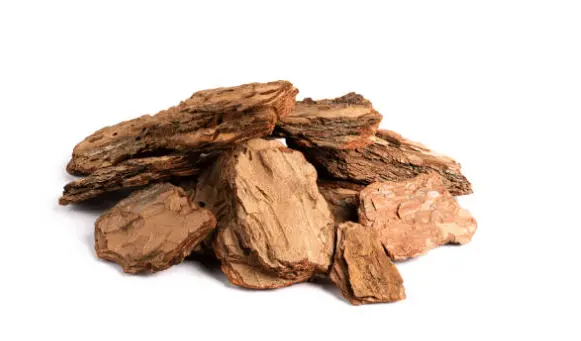 pine bark plant extract