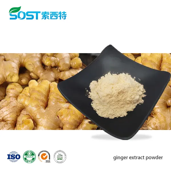 ginger extract powder.png