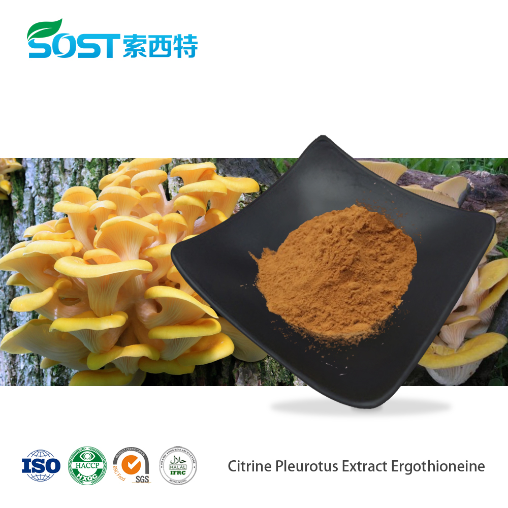 Citrine Pleurotus Extract Ergothioneine.jpg