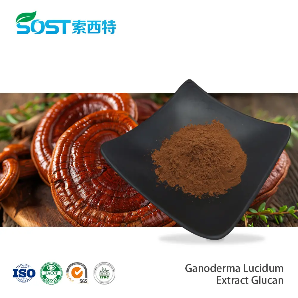 Ganoderma Lucidum Extract Glucan.jpg