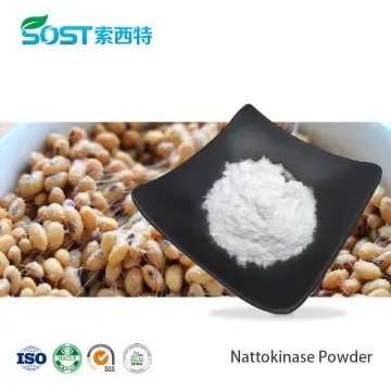 Nattokinase Powder