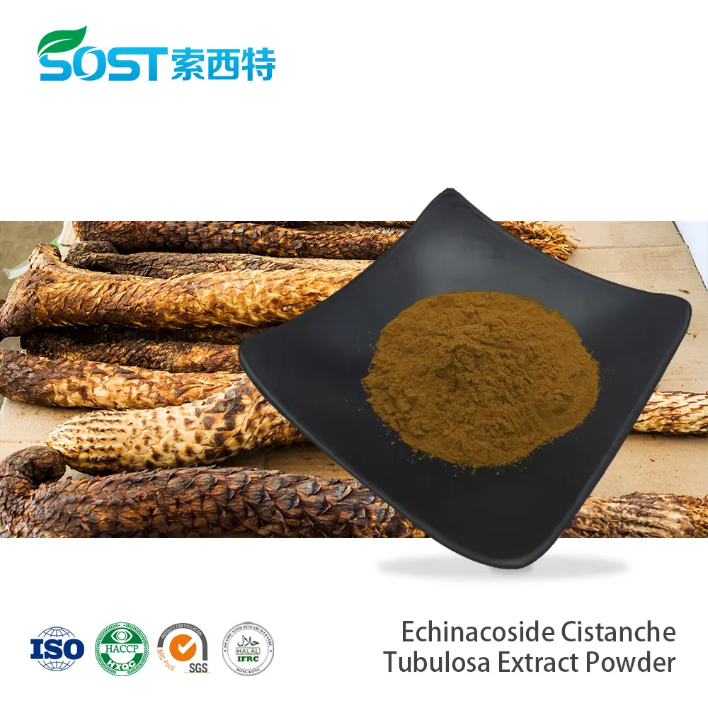 2% Jujuboside Jujube Seed Extract