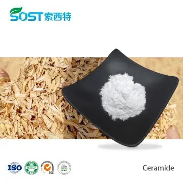 Rice Bran Extract Powder