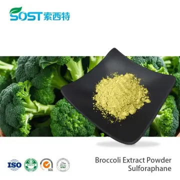 Broccoli Extract Powder Sulforaphane
