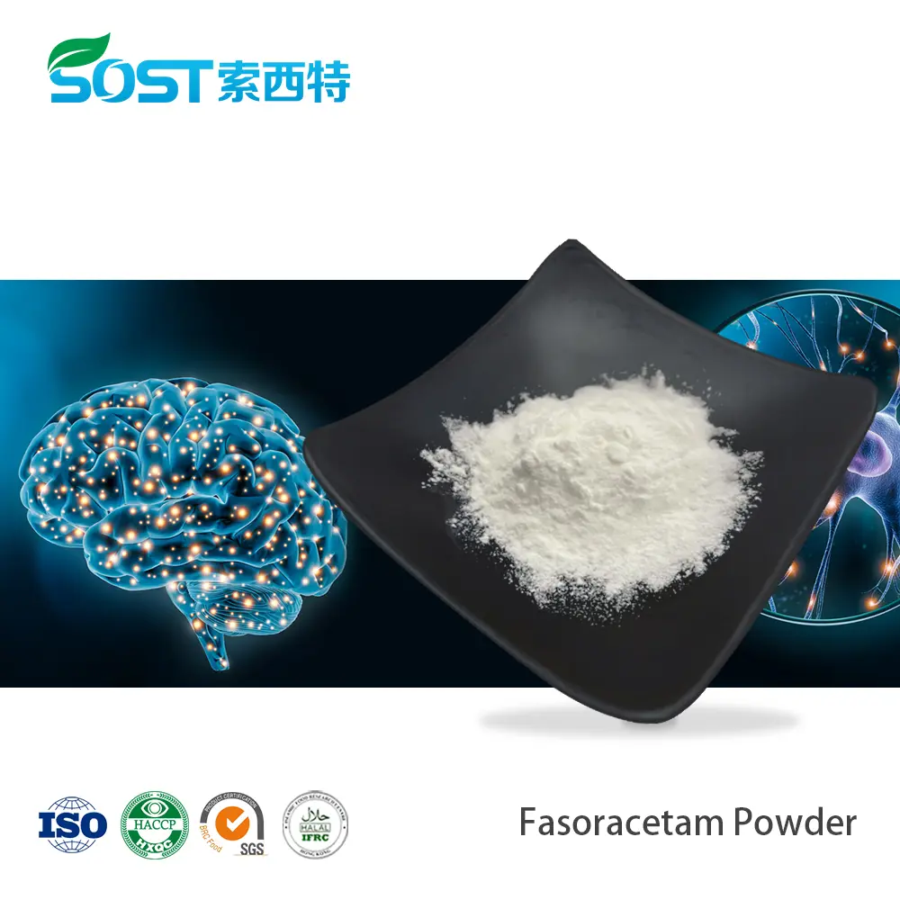 Fasoracetam Powder.jpg