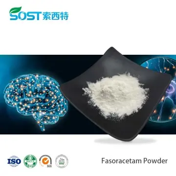 Fasoracetam Powder CAS 110958-19-5