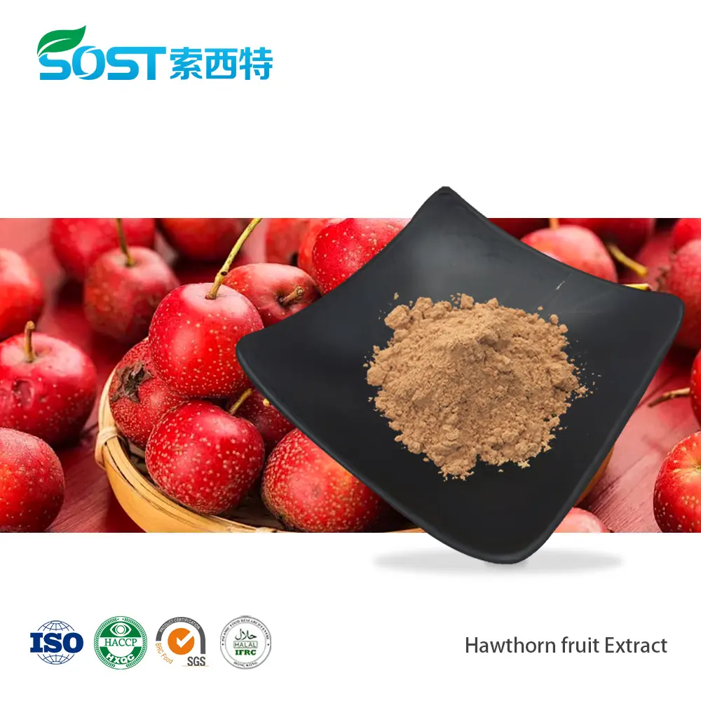 Hawthorn fruit Extract山楂果提取物.jpg