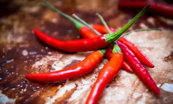 Does capsaicin really cause cancer (2)