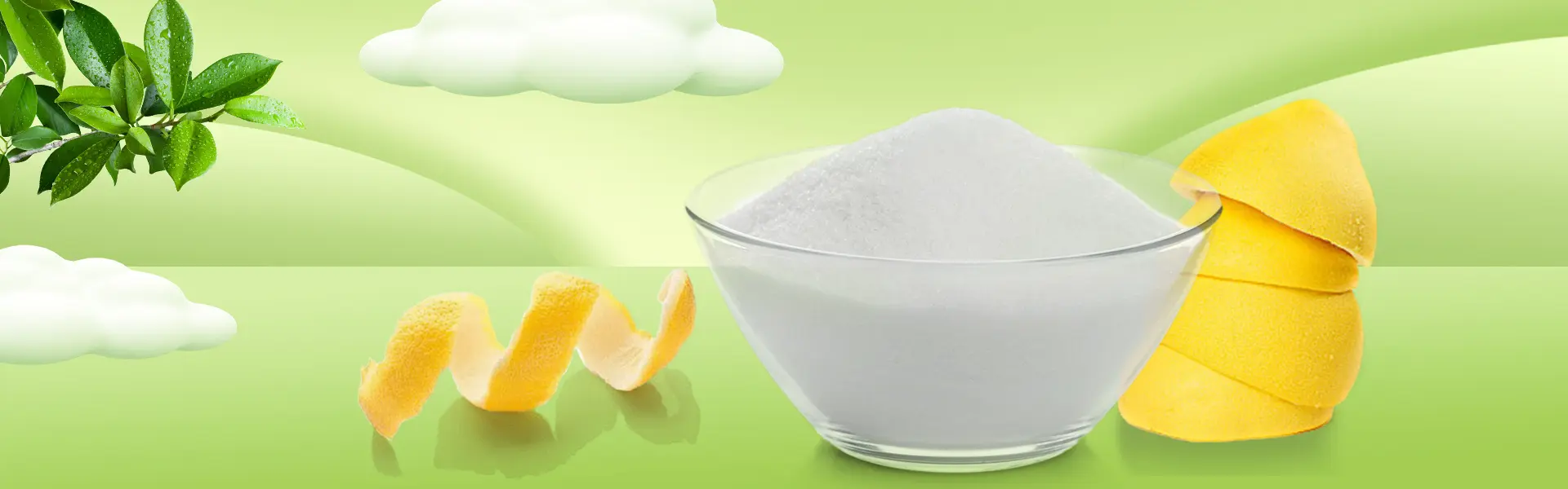 Naringin powder
