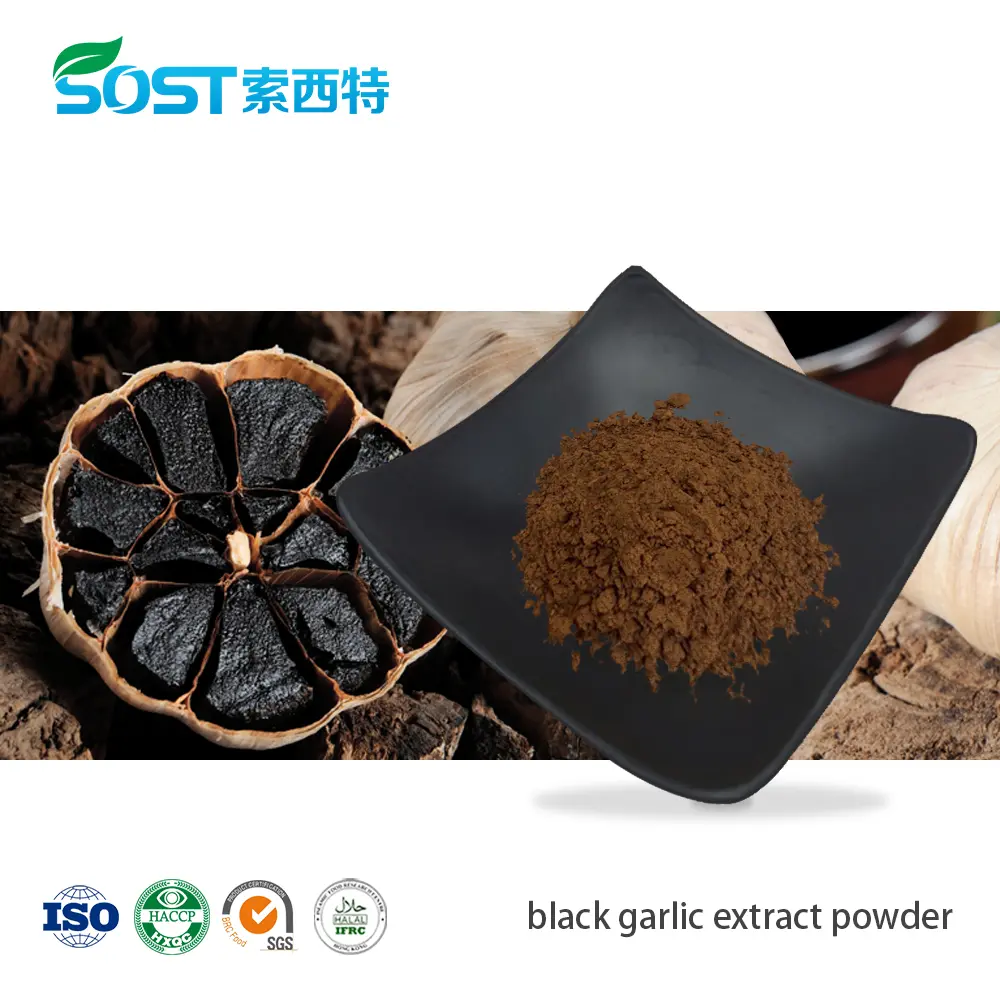 black garlic extract powder.jpg