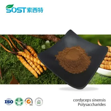 Cordyceps Sinensis Extract Powder