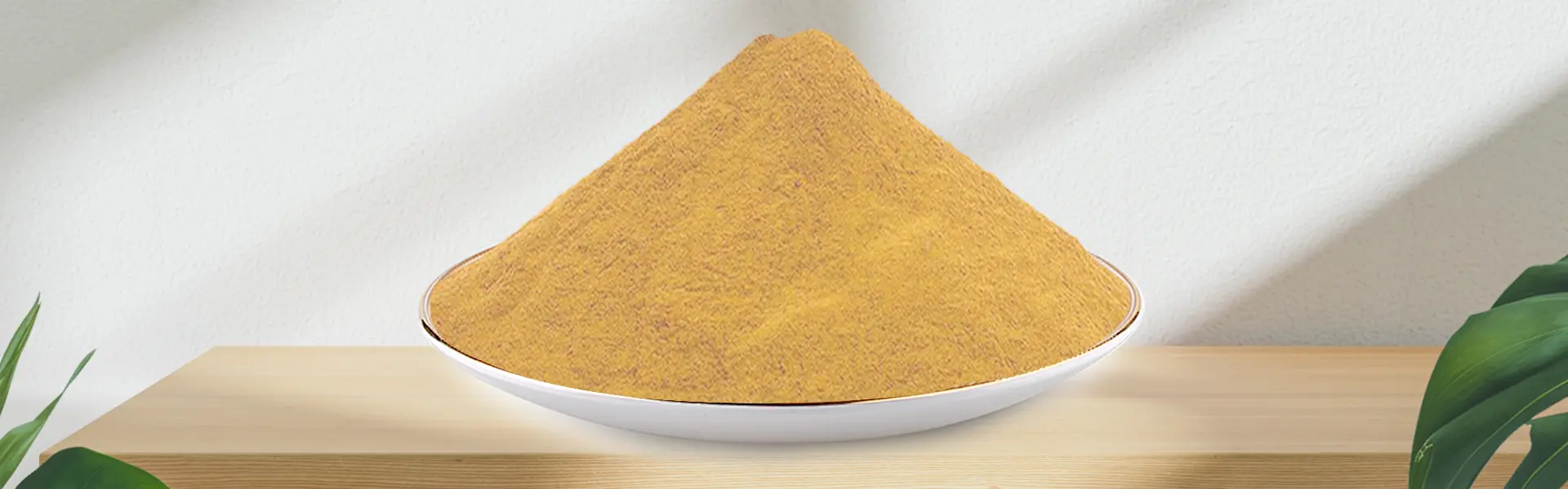 Rosmarinic Acid Rosemary Extract