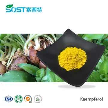 Bulk Kaempferol Powder​