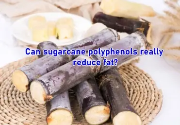Can sugarcane polyphenols really reduce fat?