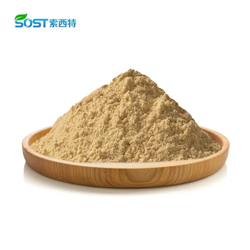 Catechin Powder