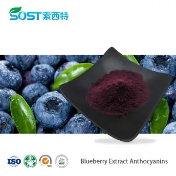 Blueberry Extract Anthocyanins