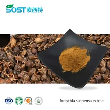 Forsythia Suspensa Extract