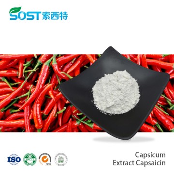 Capsicum Extract Capsaicin