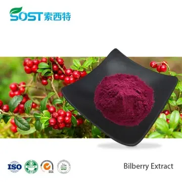 Bilberry Extract Powder 25% Anthocyanidins