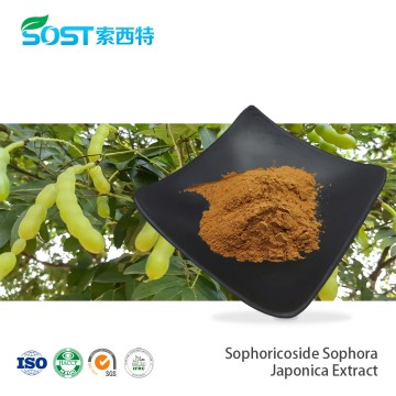 Sophoricoside 10% 20% 98% Sophora Japonica Extract