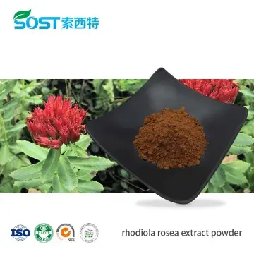 Rhodiola Rosea Extract Powder