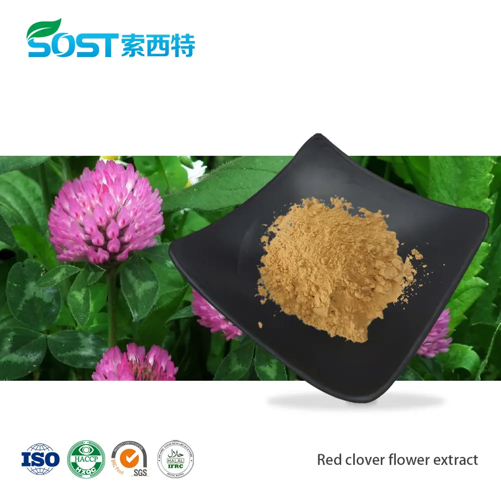 Red clover flower extract.jpg