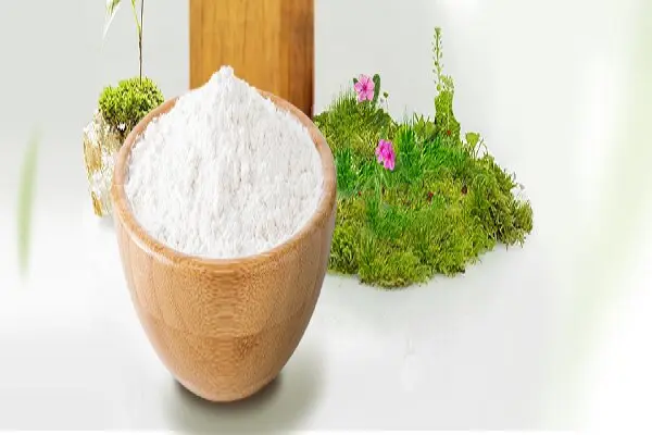 Vincamine: Learn Its Uses and Benefits
