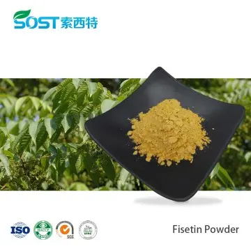 Fisetin Powder Bulk