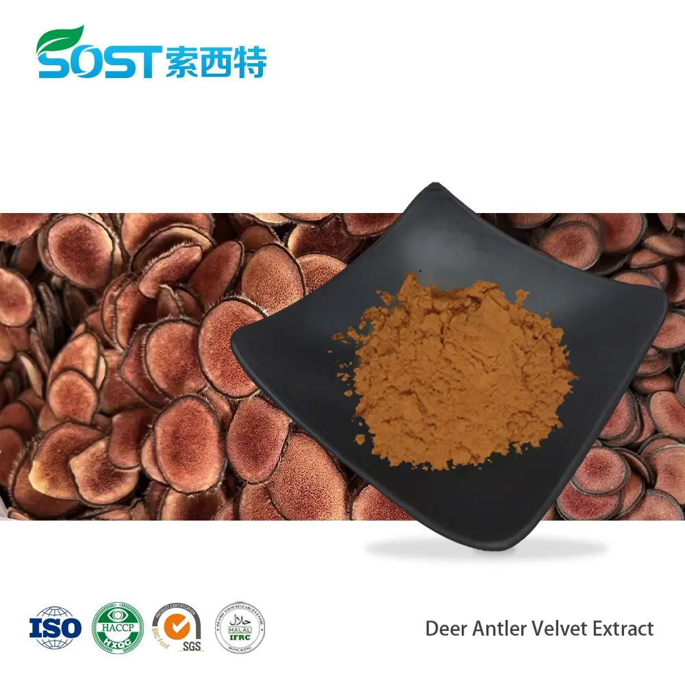 Deer Antler Velvet Extract.jpg