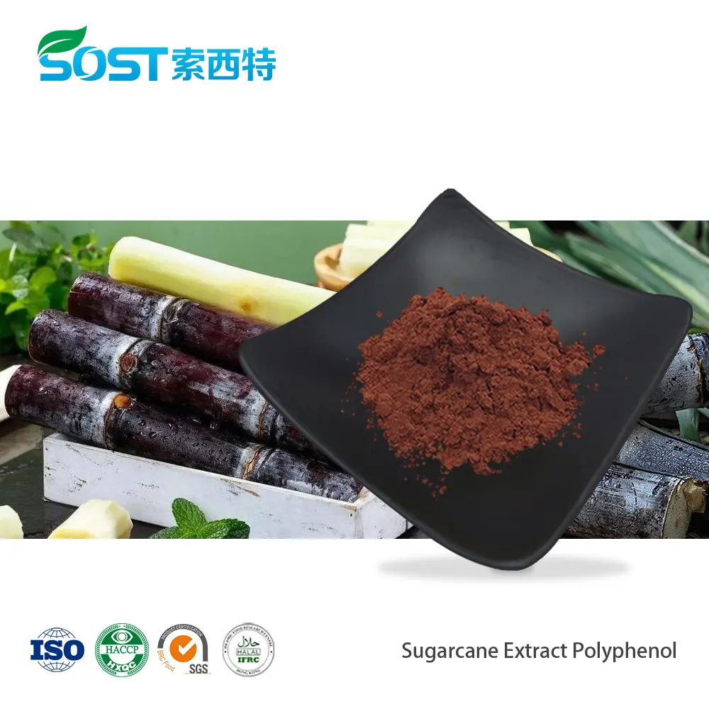Sugarcane Extract Polyphenol.jpg
