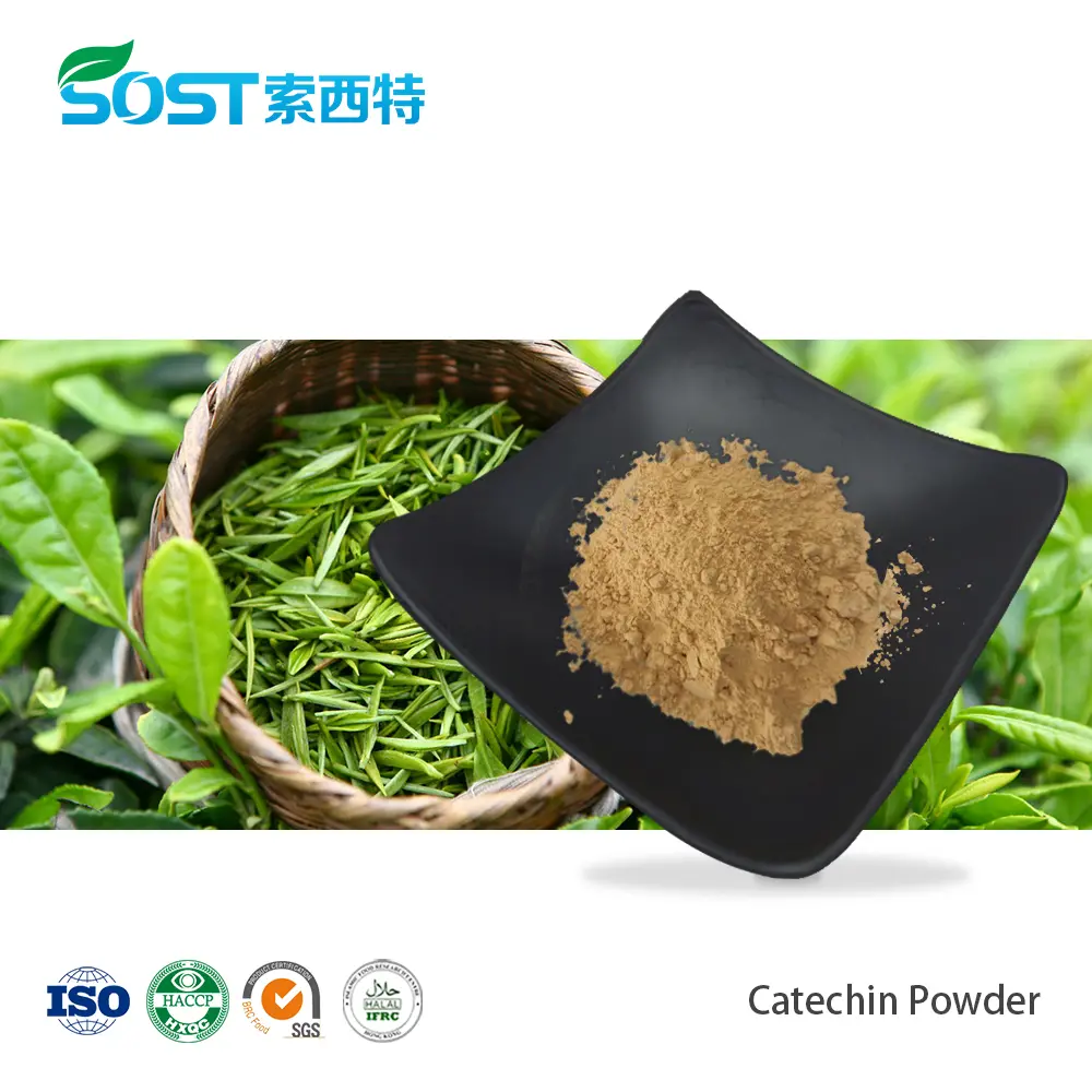 Catechin Powder.jpg