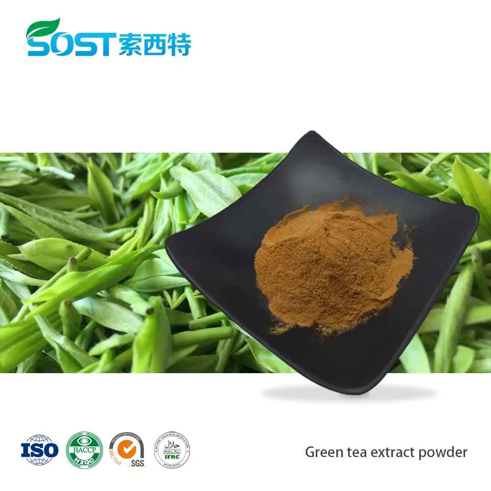 Green tea extract powder.jpg