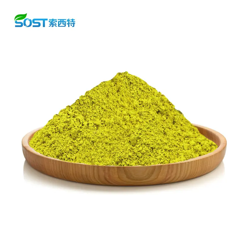 Quercetin Powder Sophora Japonica Extract CAS 615101.jpg
