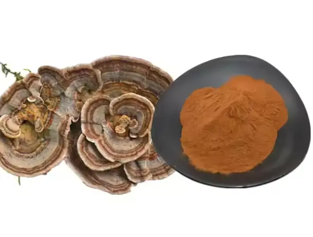 turkey tail polysaccharide