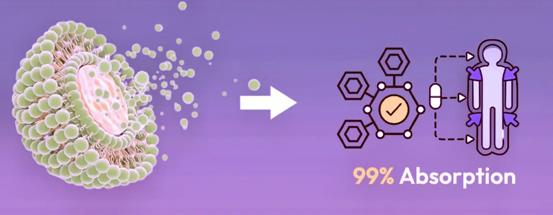 Liposomes enhance absorption rate