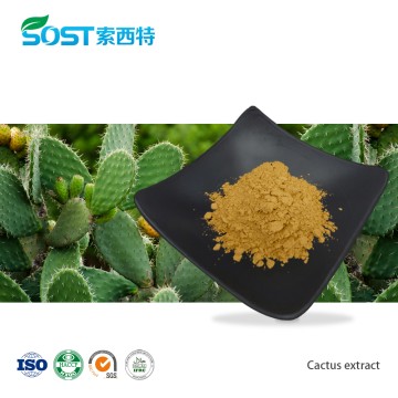 Cactus Extract