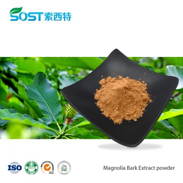 Magnolia Bark Extract Powder