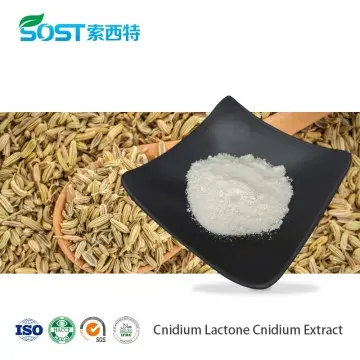 Cnidium Lactone Cnidium Extract