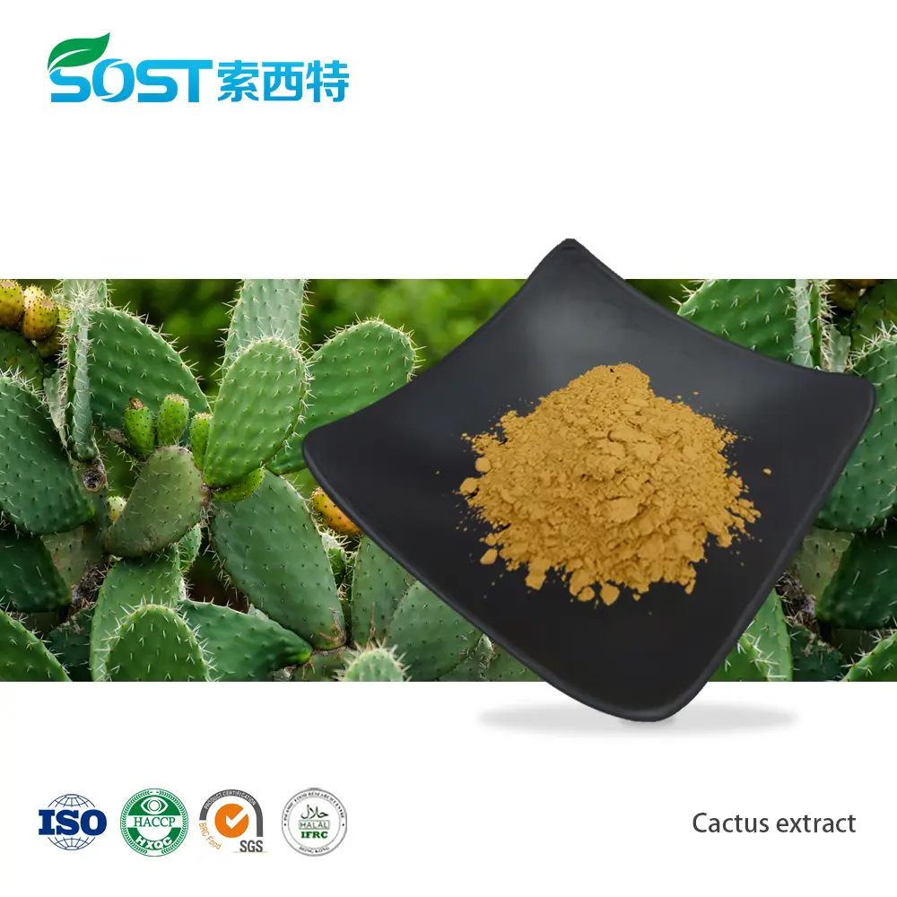 Cactus extract.jpg