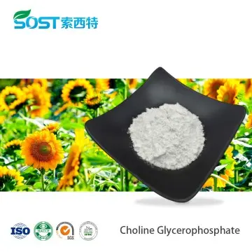 Choline Glycerophosphate