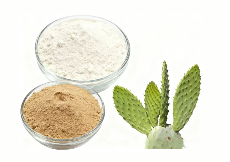 Cactus extract powder factory 