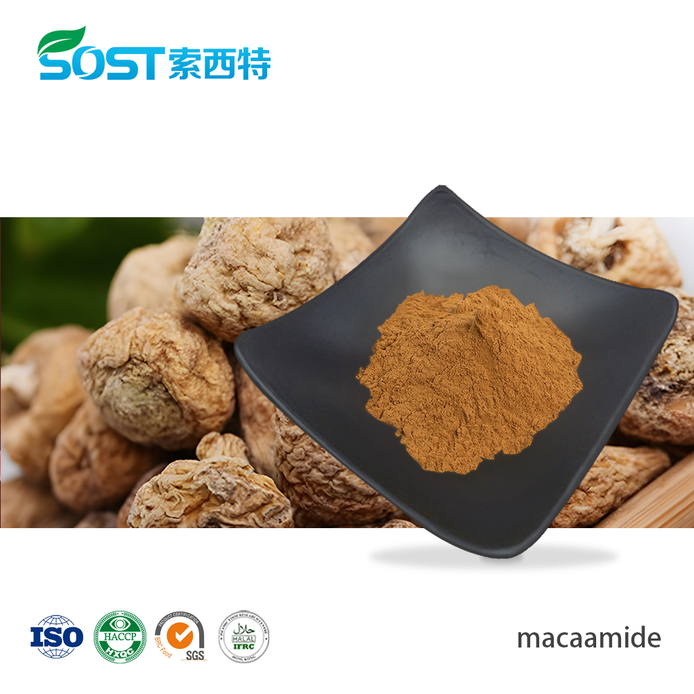 Maca Root Extract Macaamide