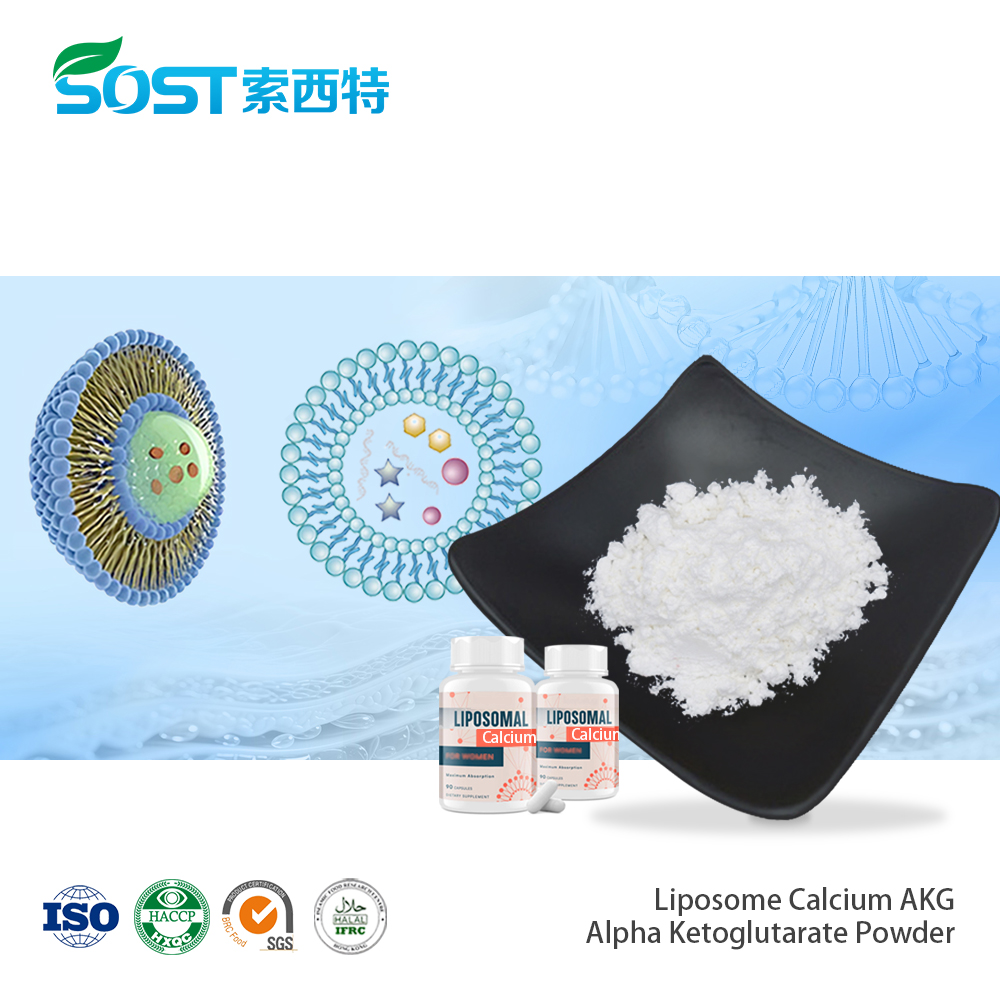 Liposome Calcium AKG Alpha Ketoglutarate Powder脂质体α-酮戊二酸钙.jpg