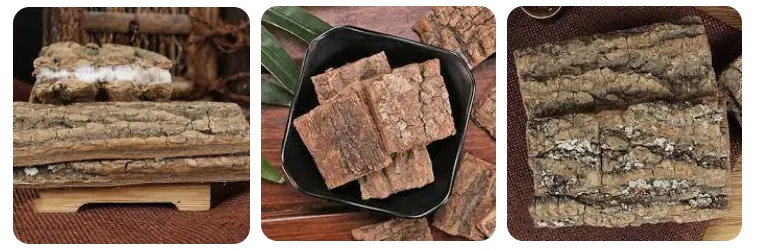 Eucommia ulmoides leaf extract