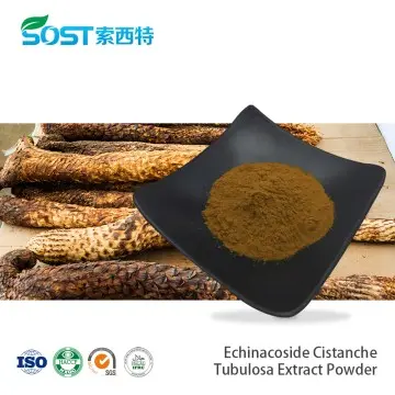 Echinacoside 10% Cistanche Tubulosa Extract Powder