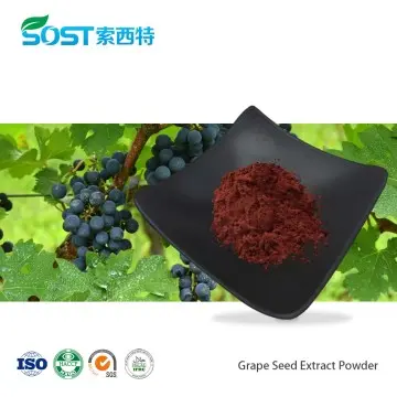 Grape Seed Extract Powder