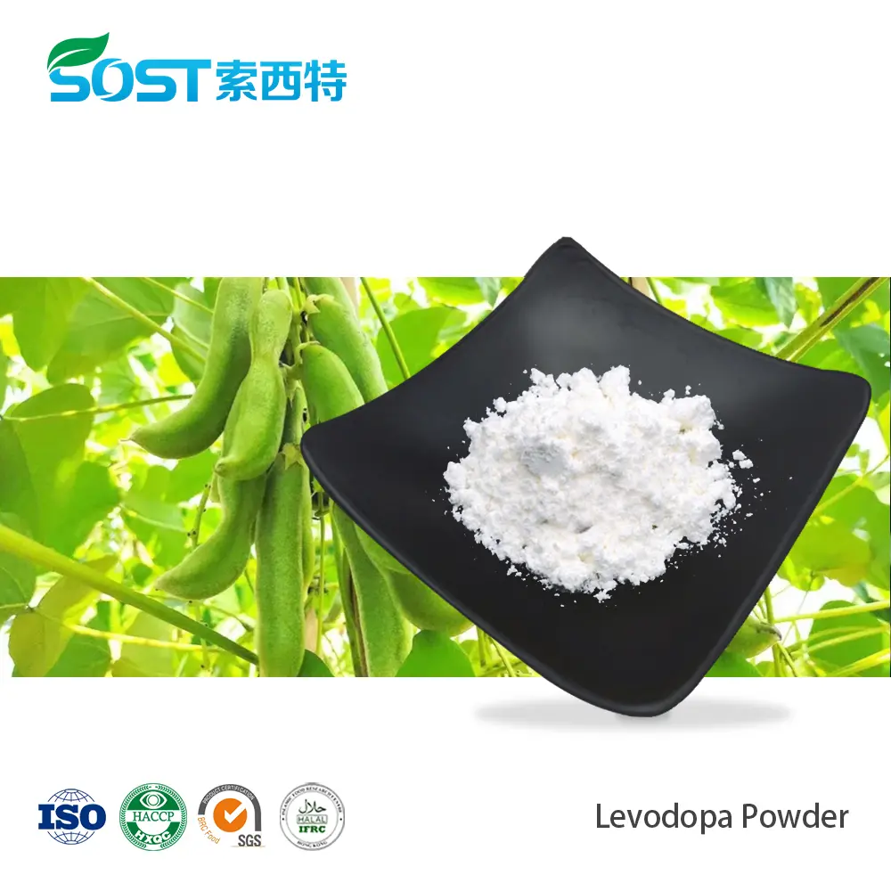 Levodopa Powder.jpg